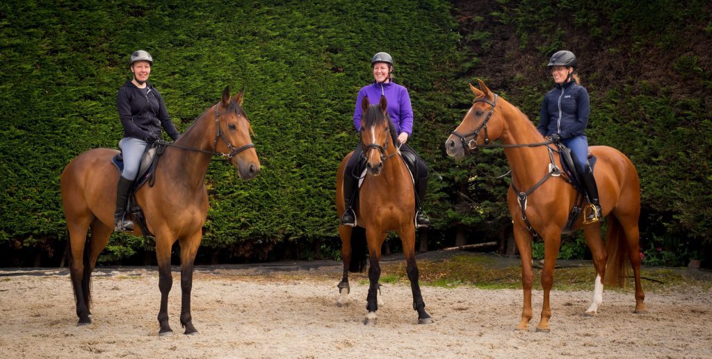 paardenbenen